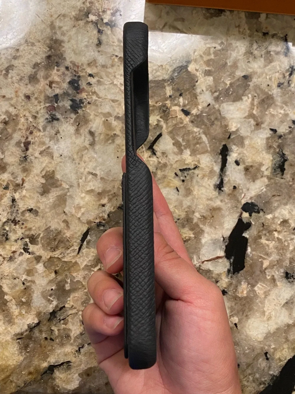 Louis Vuitton Black Monogram iPhone Case